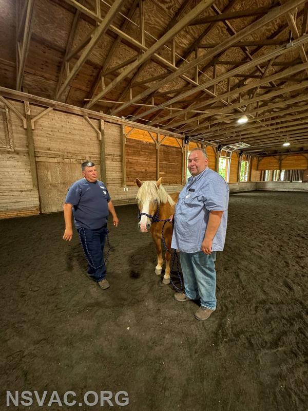 CFFD, NSVAC and NSPD learning how to handle loose horses!