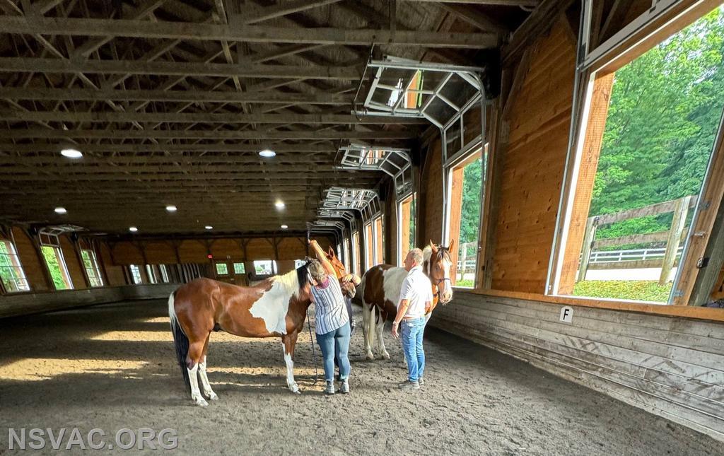 CFFD, NSVAC and NSPD learning how to handle loose horses!