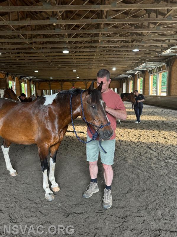 CFFD, NSVAC and NSPD learning how to handle loose horses!