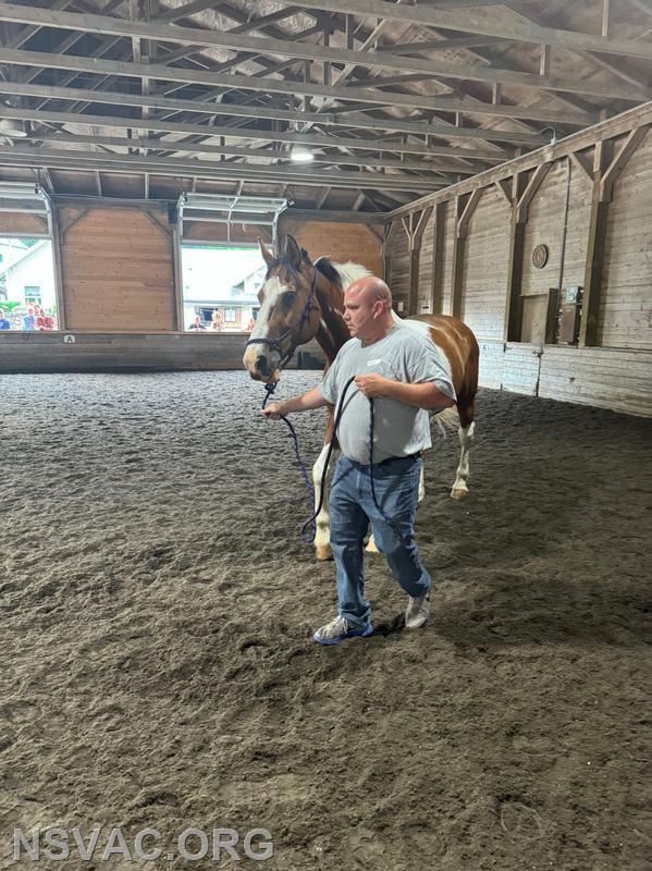 CFFD, NSVAC and NSPD learning how to handle loose horses!