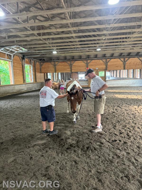 CFFD, NSVAC and NSPD learning how to handle loose horses!